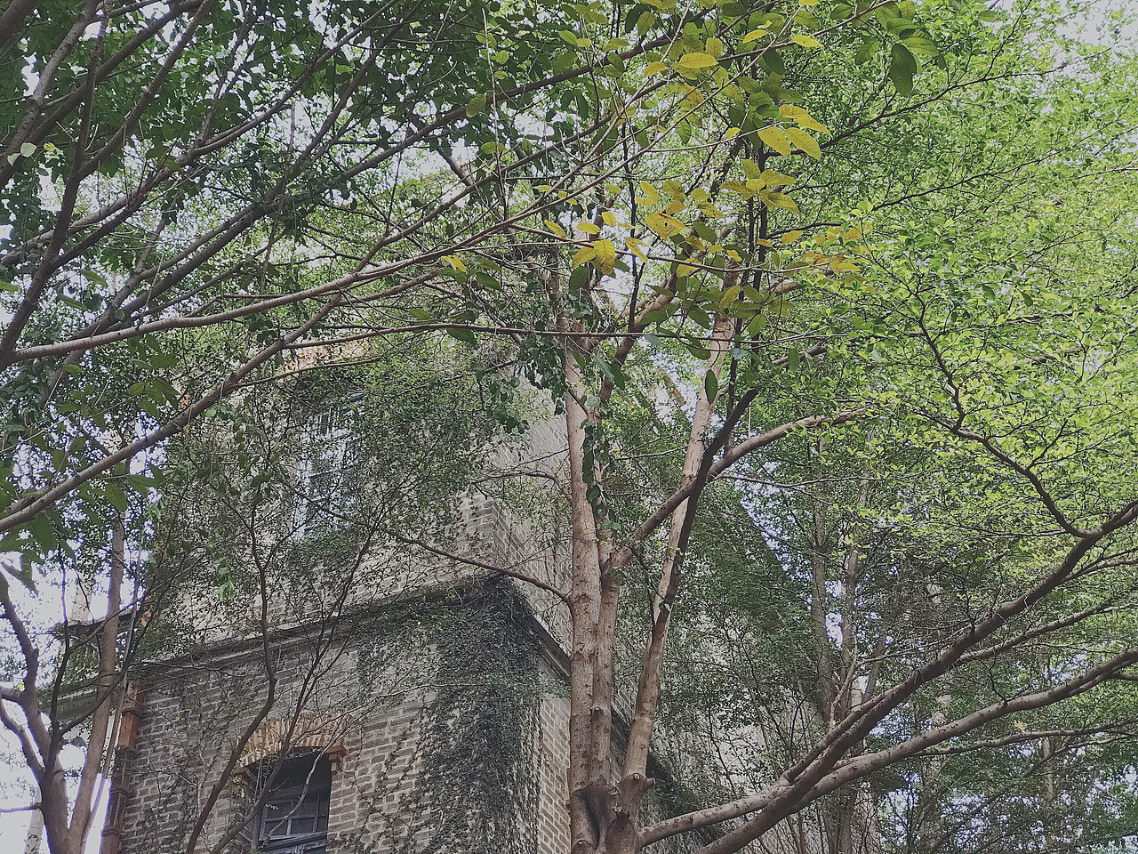 手机摄影 - 佛山 - 岭南天地