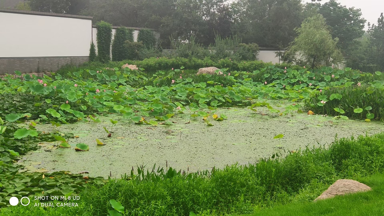 夏岸赏景（图ZMjY4MTM3OTQ0） - 文案/策划 - 站酷设计师绕道鱼原创素材 - 站酷ZCOOL