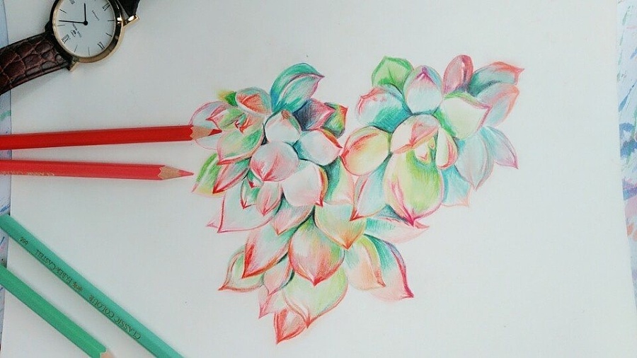 彩铅多肉工具辉柏嘉红盒