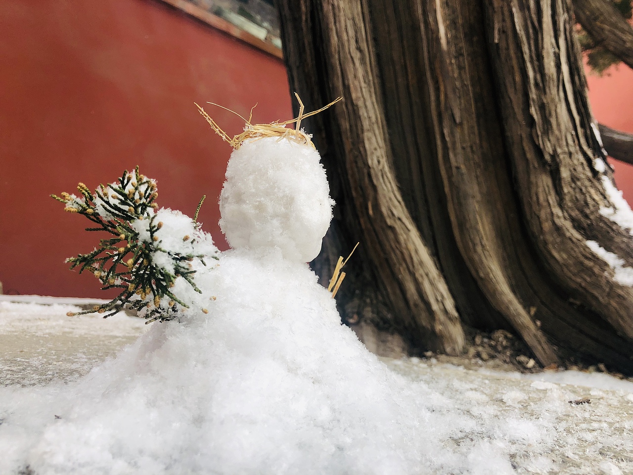正月初八北京紫禁城落雪   故宫谨记