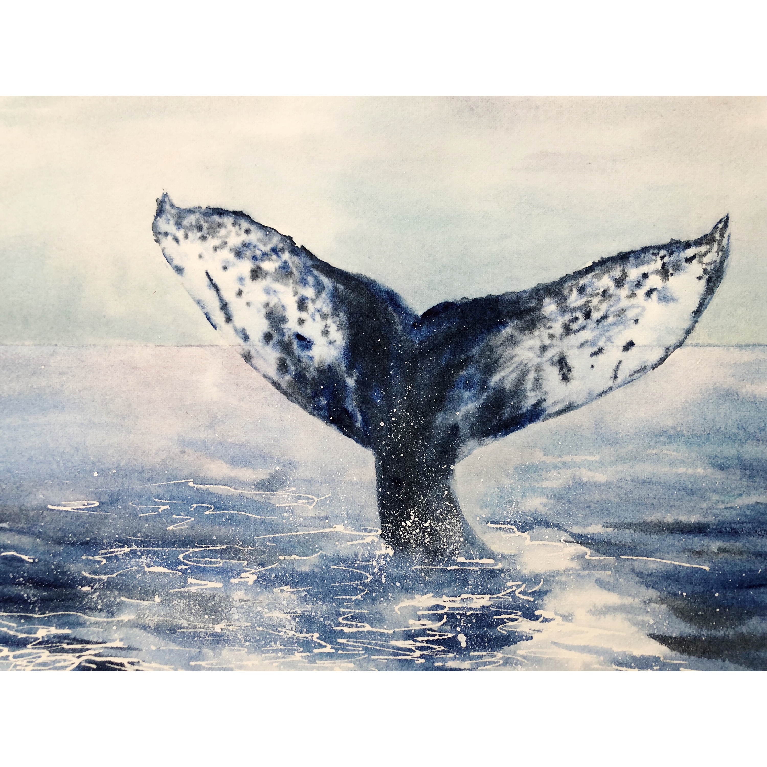科普 | 中国科学家首次在南海发现“鲸落”，附全球观鲸胜地_深海