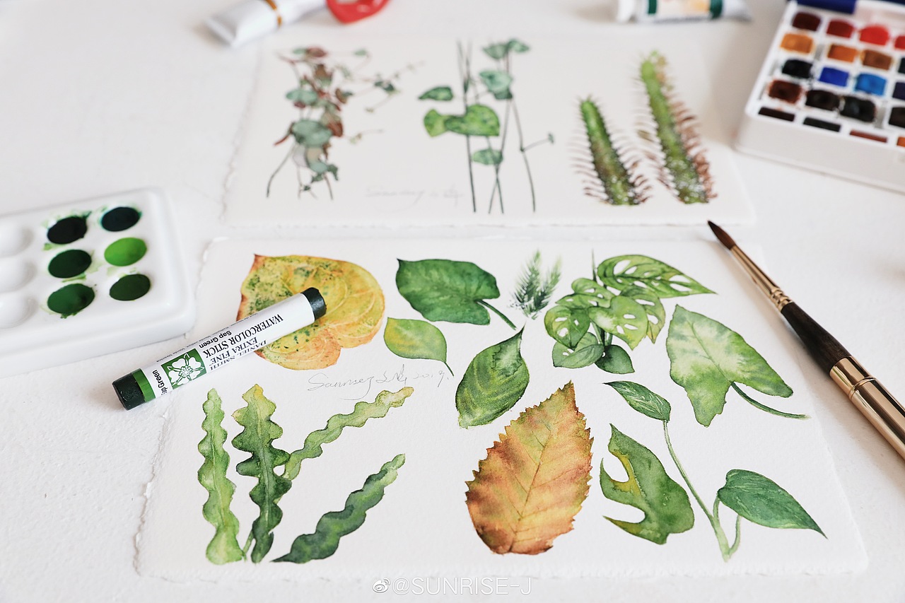 水彩植物 夏天的颜色（图ZMTc1MDU2MTMy） - 商业插画 - 站酷设计师文静手绘原创素材 - 站酷ZCOOL