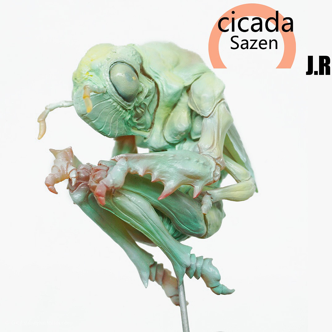 sazen的蝉