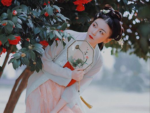 茶花汉服