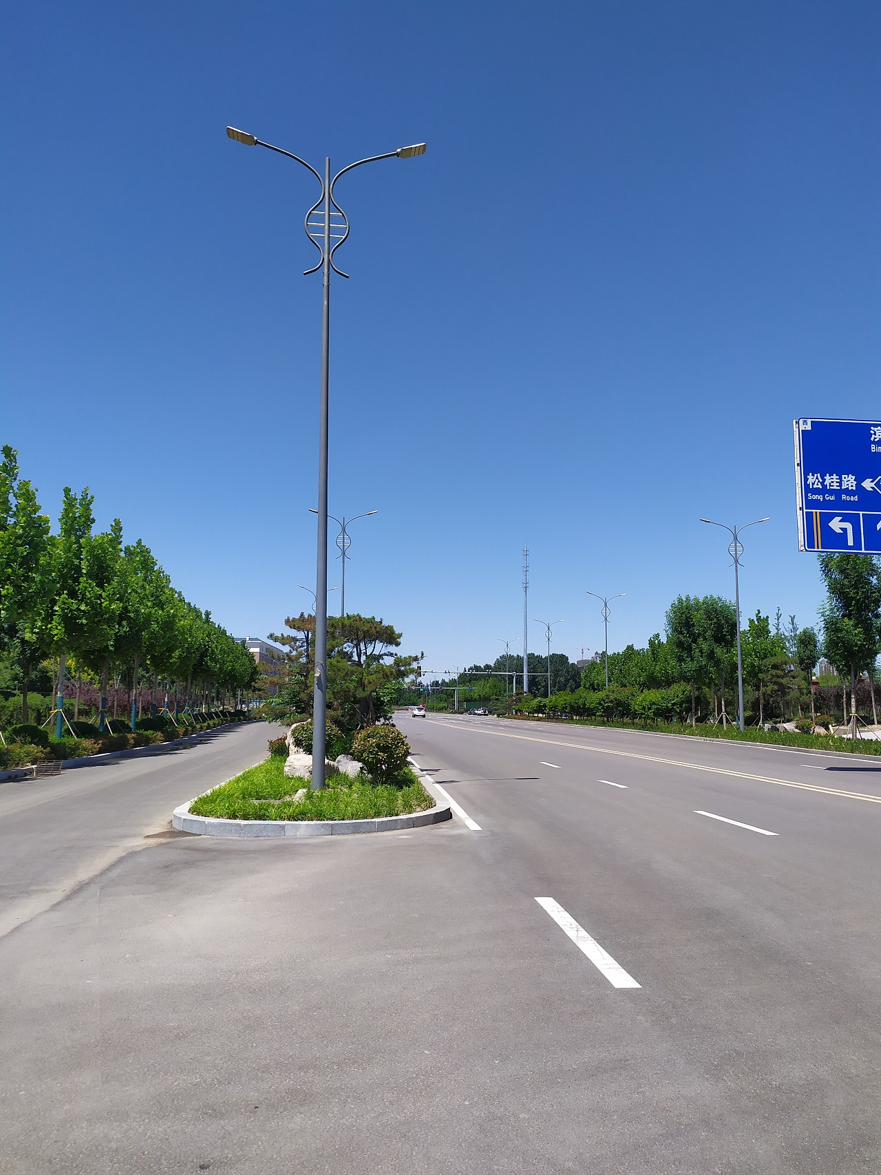 简单大气双臂路灯-市政道路特色双臂路灯-世博光电