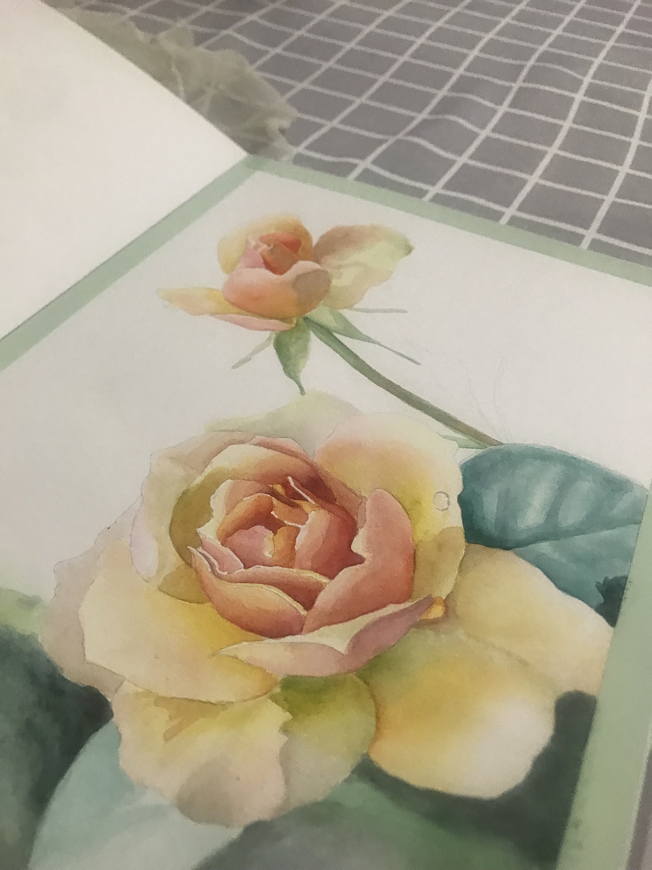 把思念画在每一片花瓣上