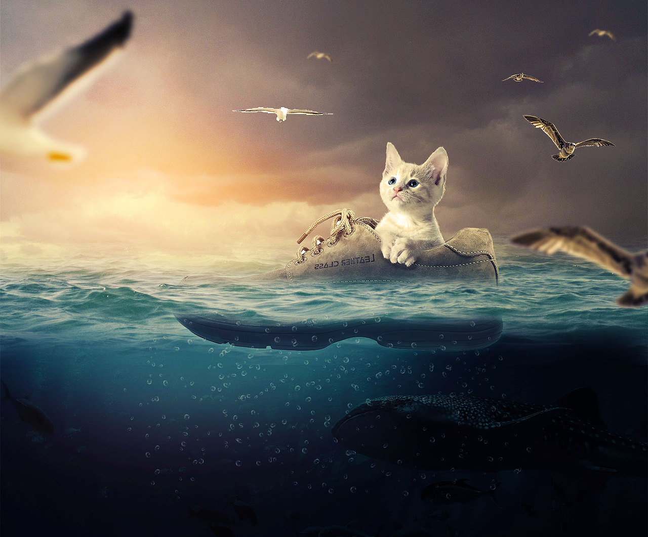 一些根据老师的练习