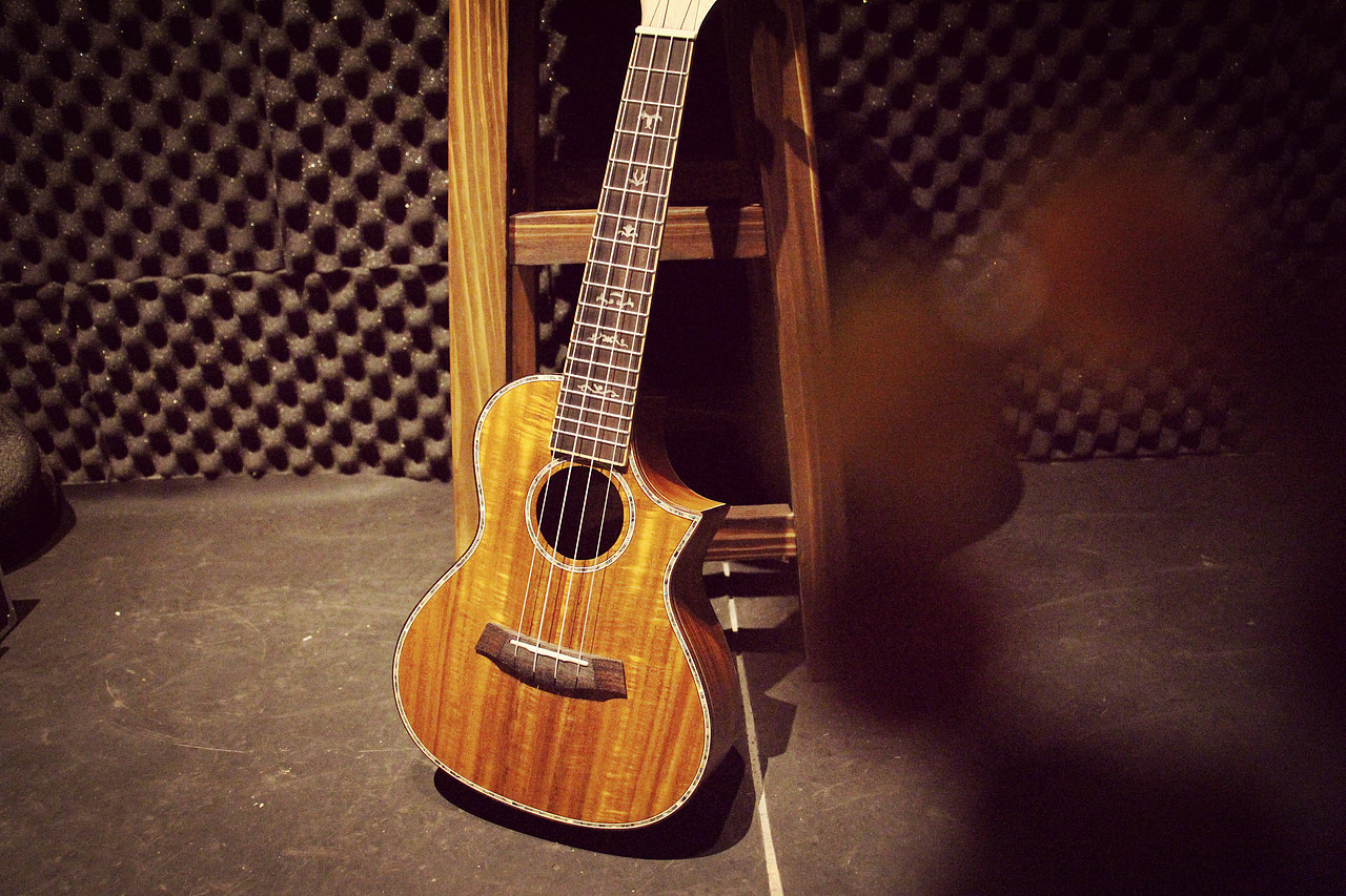 尤克里里艺术照