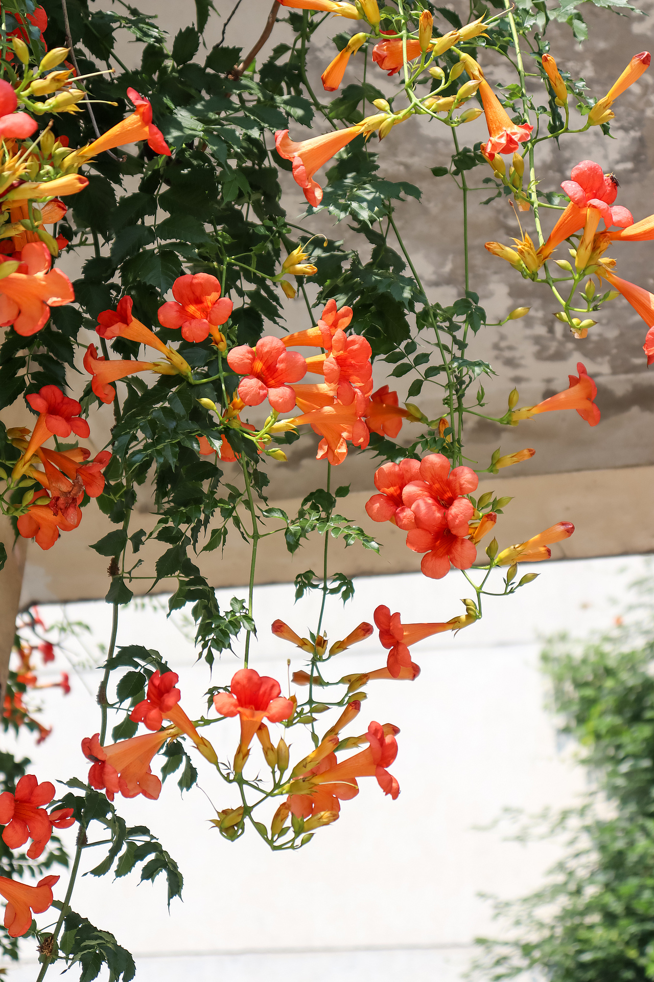 夏天的每一帧都是壁纸（图ZMjE2MDQ4NDcy） - 风光摄影 - 站酷设计师喻三木小怪兽原创素材 - 站酷ZCOOL