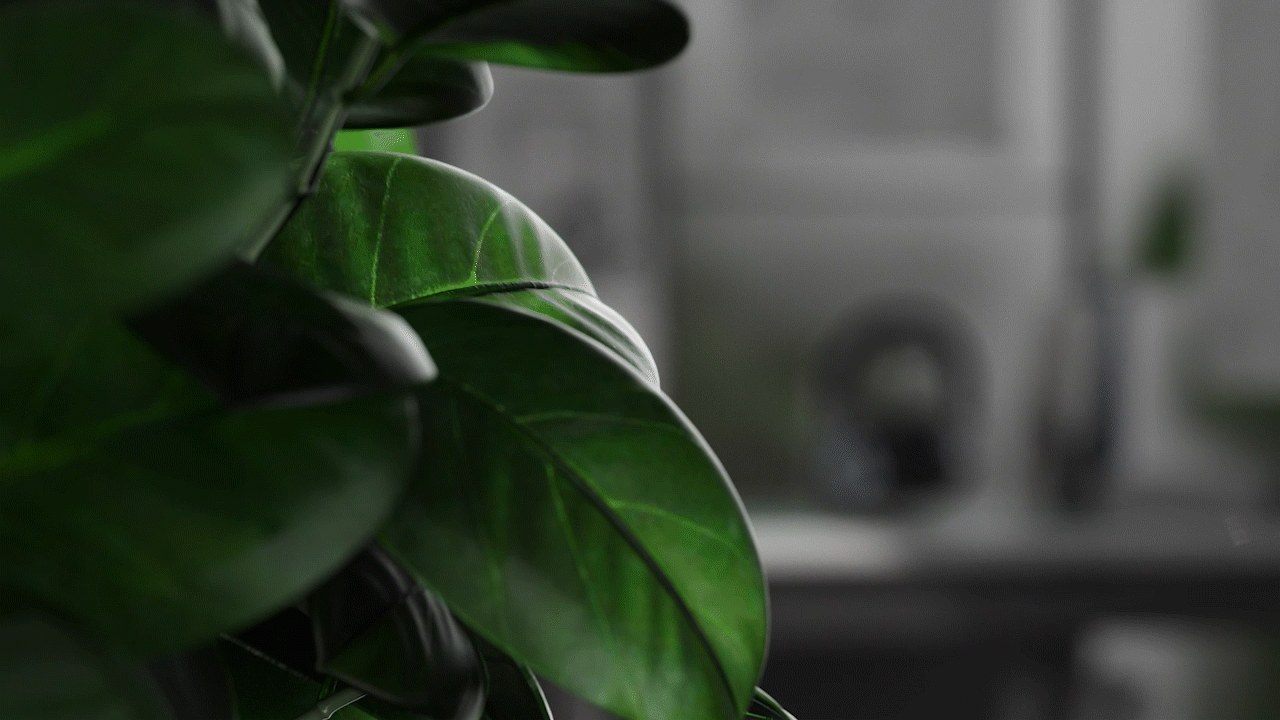 头戴式耳机动画（图ZMjkwMjA2ODAw） - 动画/影视 - 站酷设计师大肠金原创素材 - 站酷ZCOOL