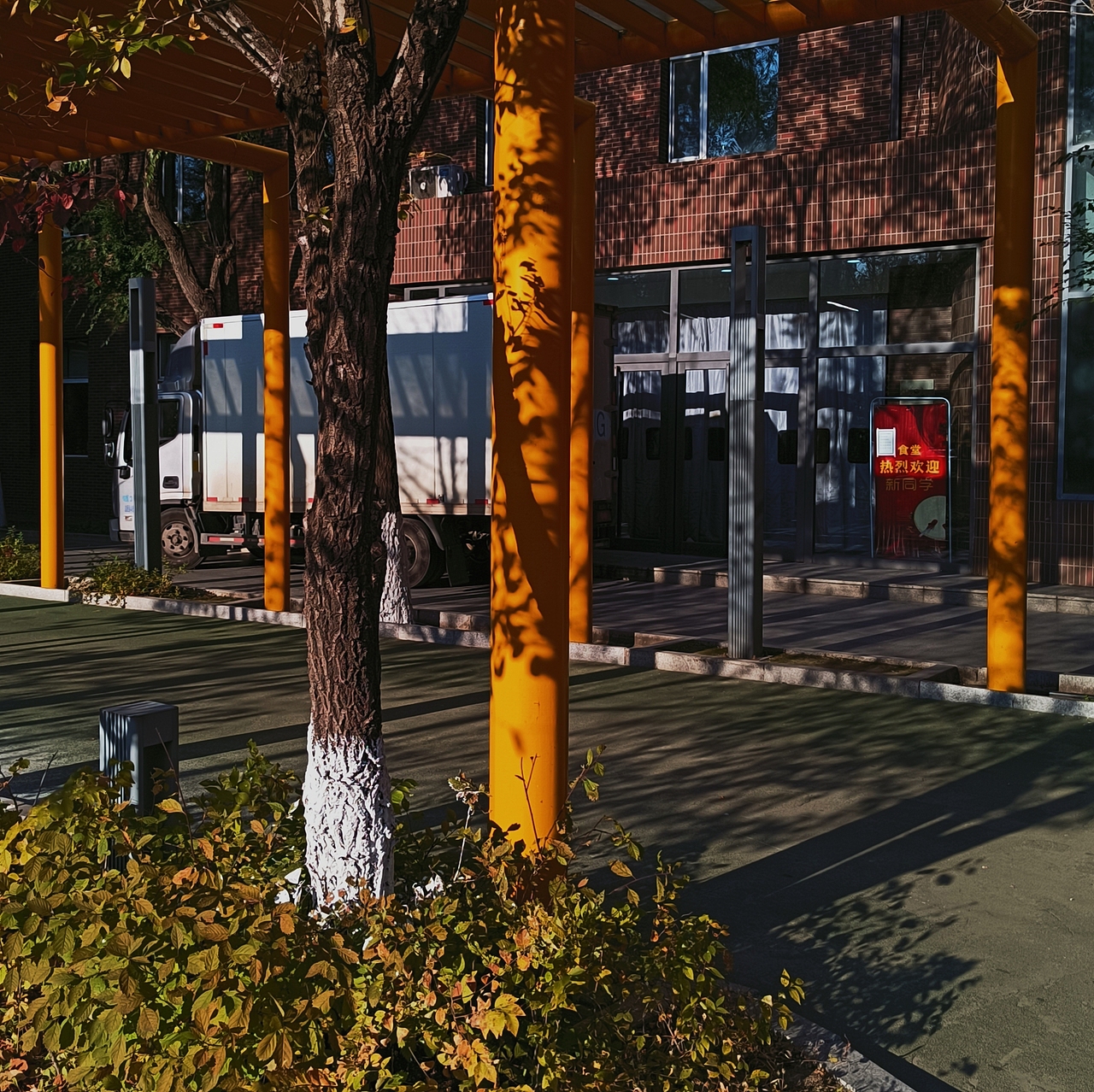 黄绿蓝的配色🔥