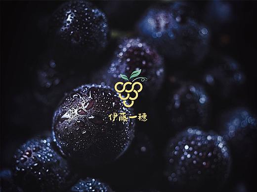 葡萄logo，vi设计