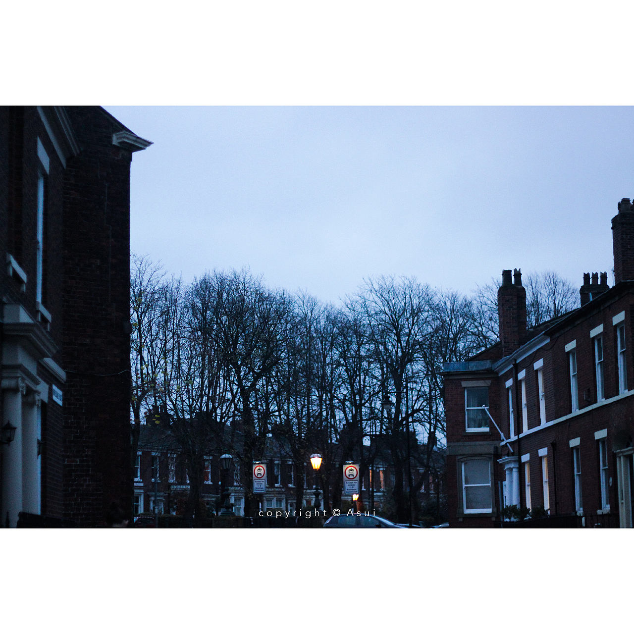 「十四行诗」· 公园一景