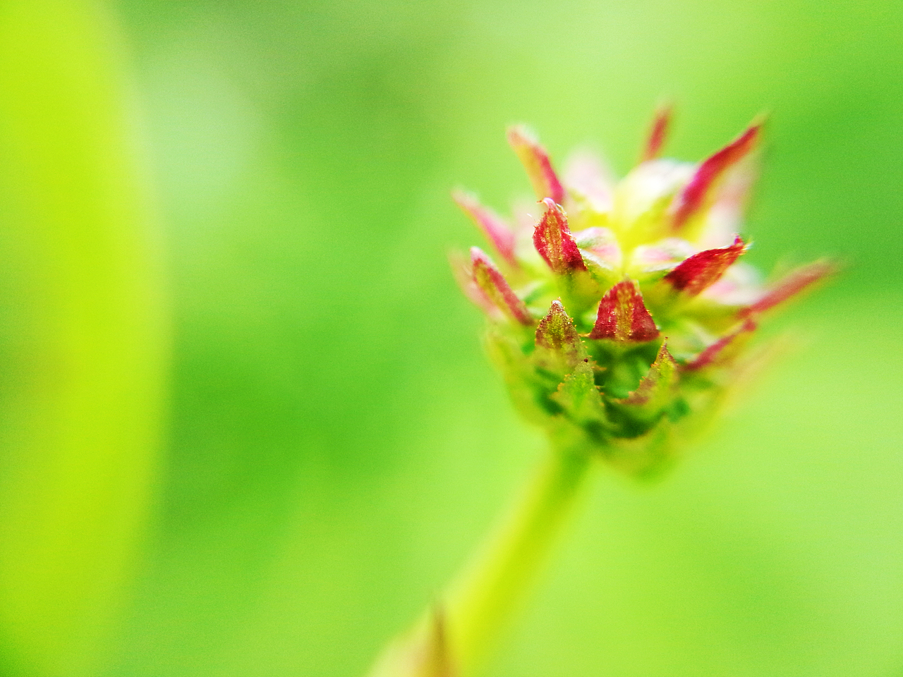 手机摄影拍拍拍~（图ZNTQyODY5NzI=） - 产品摄影 - 站酷设计师一大口黑锅原创素材 - 站酷ZCOOL