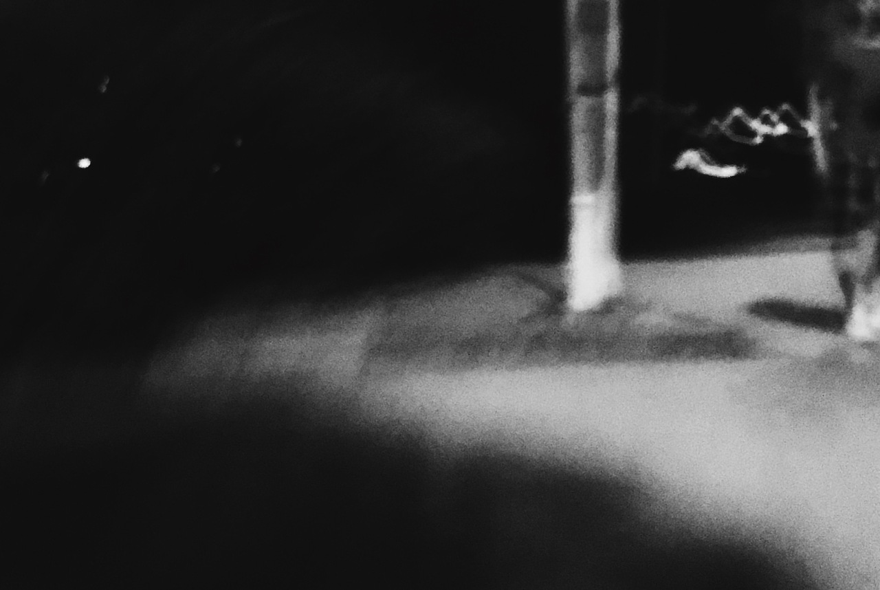 一只狗所看到的 | what a dog sees（图ZMTgxODIyNTE2） - 人文/纪实摄影 - 站酷设计师liuyoufu原创素材 - 站酷ZCOOL