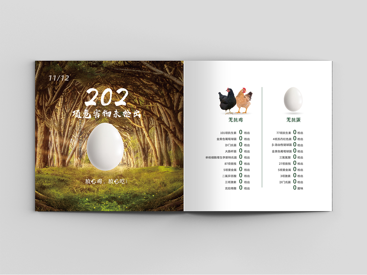 品牌画册 食品画册 企业画册 招商画册 鸡 鸡蛋画册