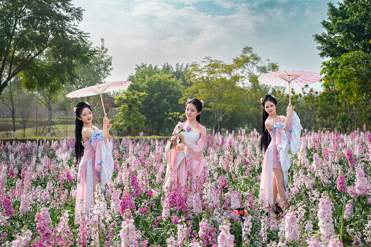 厦门园博园古风