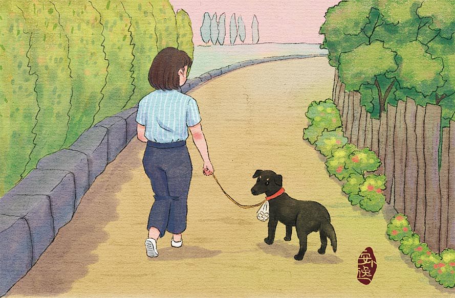 《班长下台》图书内插