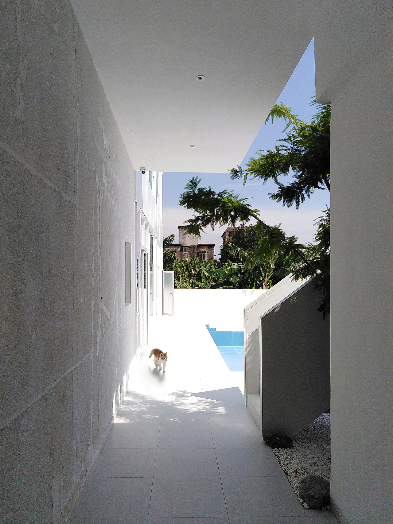 HSD.黄氏设计|恩山.海寿方舟民宿