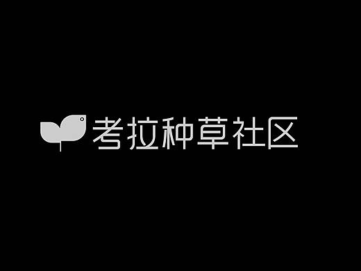 网易考拉种草社区app