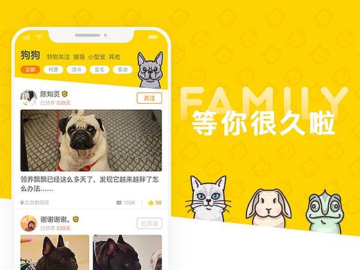 M萌领养宠物 1.0 - 花火圆桌第十期公益项目
