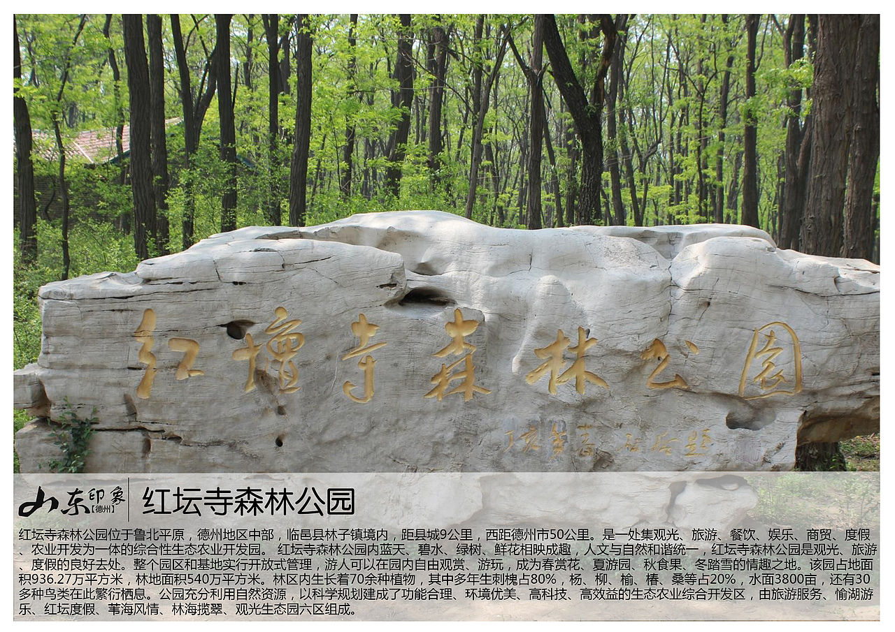 红坛寺森林公园位于鲁北平原,德州地区中部,临邑县林子镇境内,距县城9