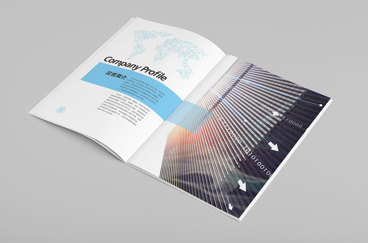 上海汉纽科技（图ZODc0NTk3MzI=） - 书籍/画册 - 站酷设计师云顶品牌设计原创素材 - 站酷ZCOOL