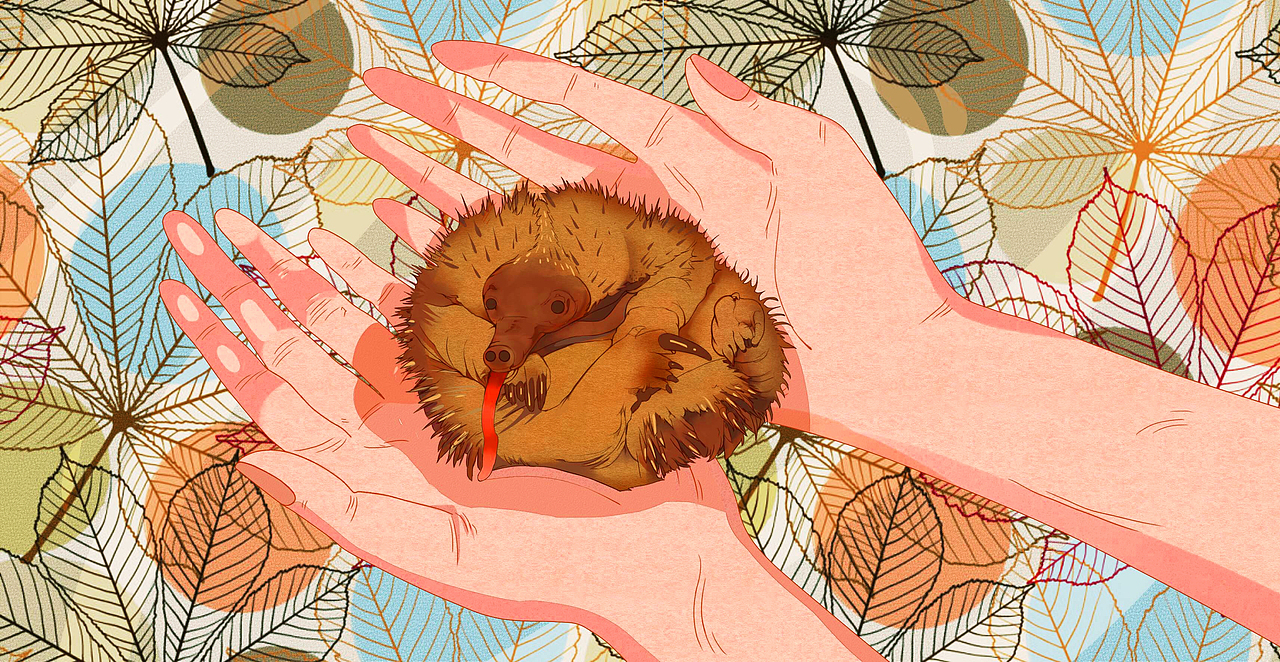 濒危动物宝宝宣传系列插画