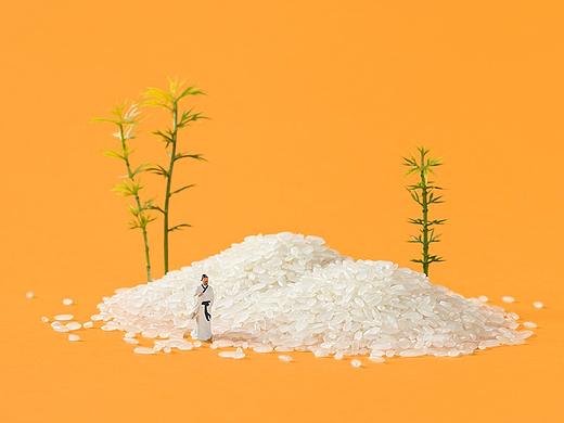 8步轻松拍大米丨五谷大米丨 微缩摄影小人国缩微摄影