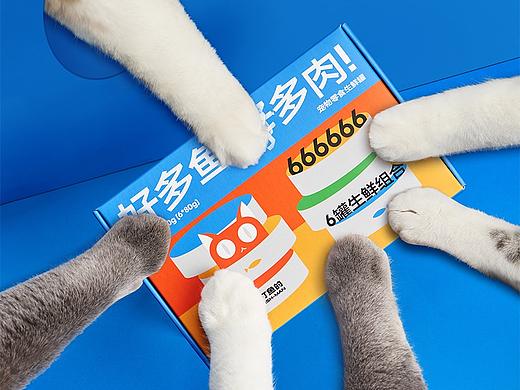 一个打鱼的猫罐头 ｜宠物零食 X 美集影像