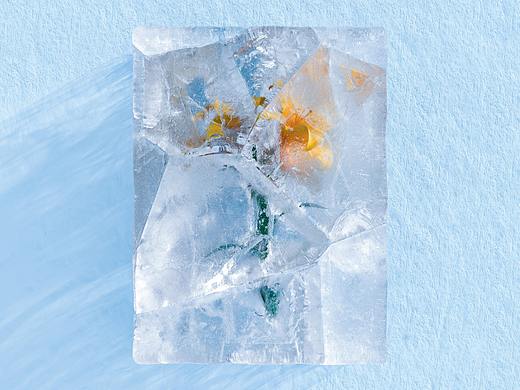 冰冻的花（个人主页-ZNTYwNDQzODQ=） - 其他三维 - 站酷设计师ElijahX原创素材 - 站酷ZCOOL