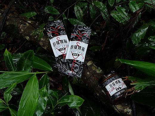 厚屋辣酱VI设计