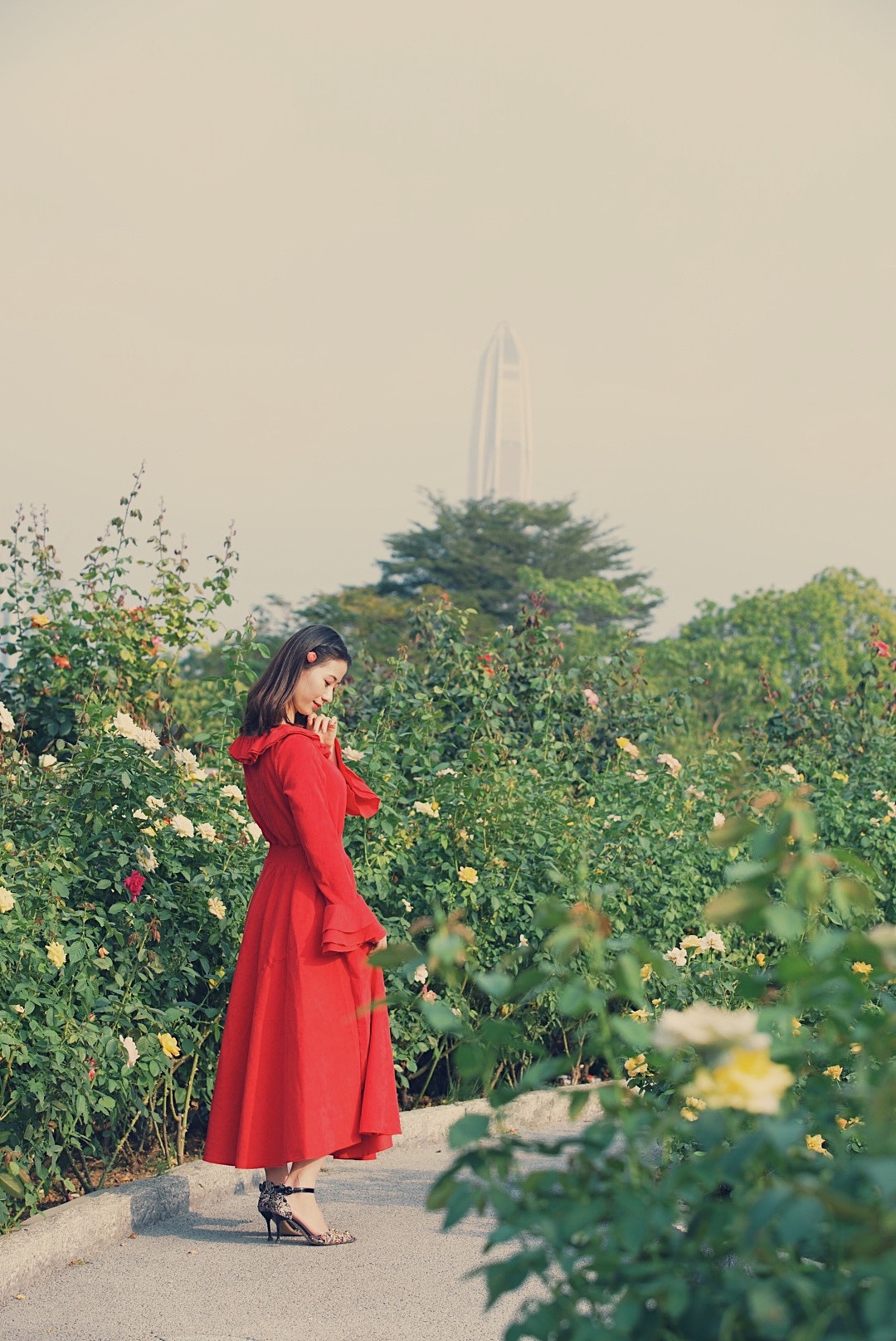 玫瑰园人像拍摄2019