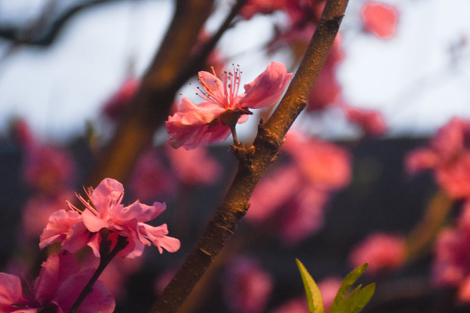 摄影课程作业（图ZMTQ3MzQxNzQ4） - 其他平面 - 站酷设计师倔强如我原创素材 - 站酷ZCOOL