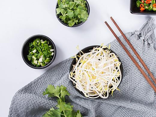 蔬菜|坚强的豆芽