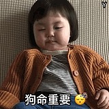憋熬夜护肝肝的头像