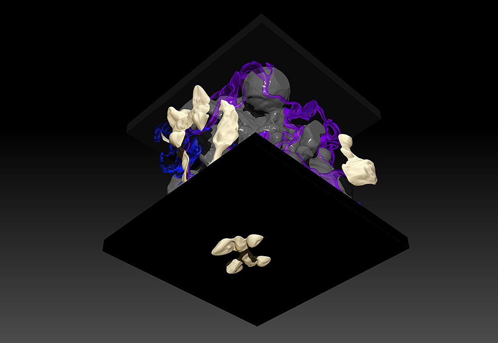 时间的“礼物”《愛因斯坦|柔軟的時間》实验艺术玩具