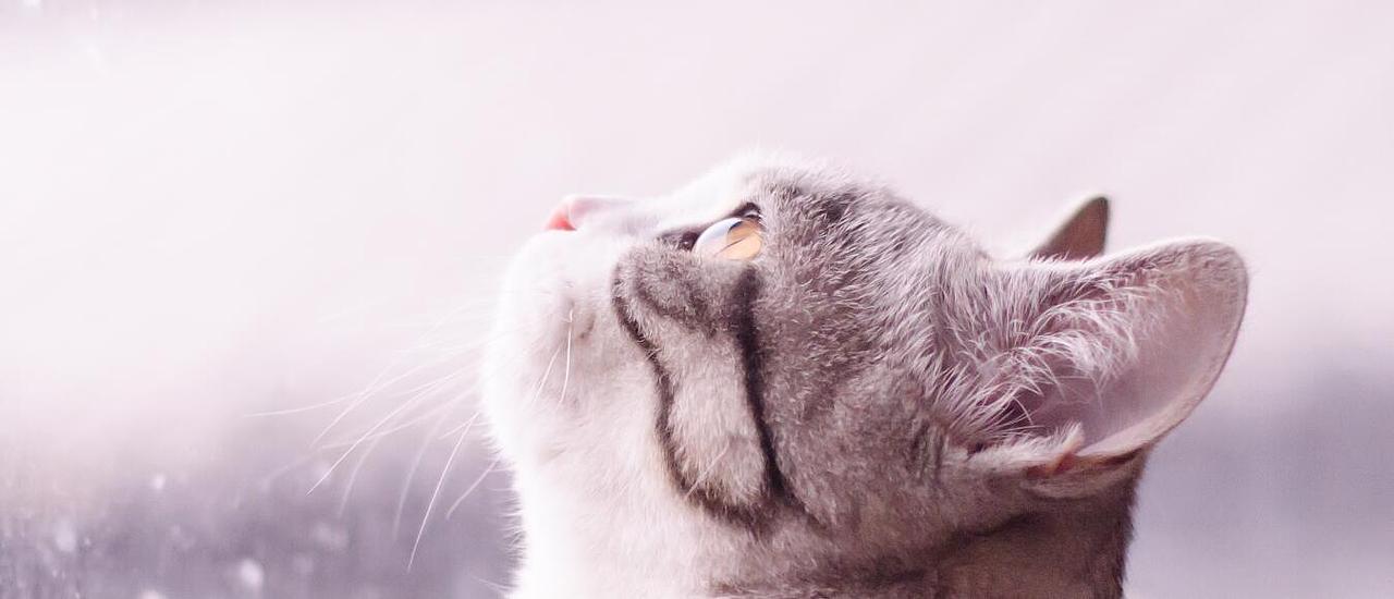 于我,过去、现在和未来