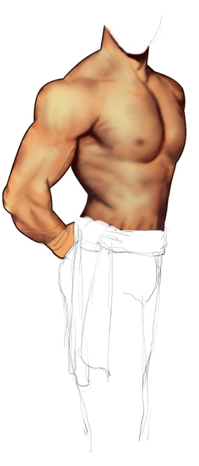 今天绘画了一些肌肉图与大家分享