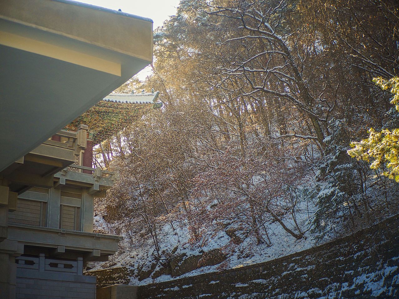 雪花从枝头被风吹过,撒盐空中差可拟。
