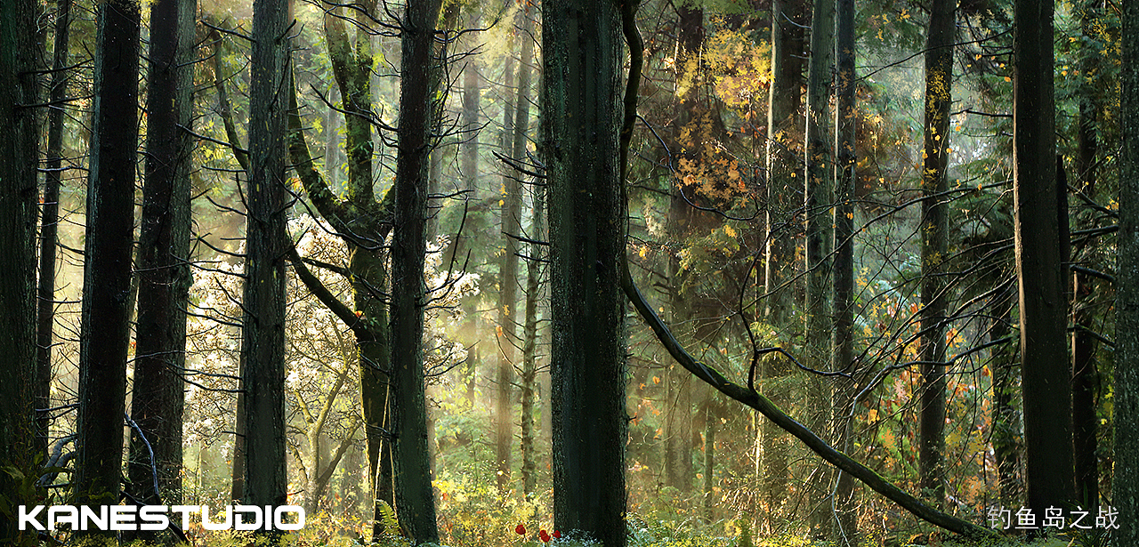 钓鱼岛之战part 2（图ZNDE1MjM4NzY=） - 商业插画 - 站酷设计师kanestudio原创素材 - 站酷ZCOOL