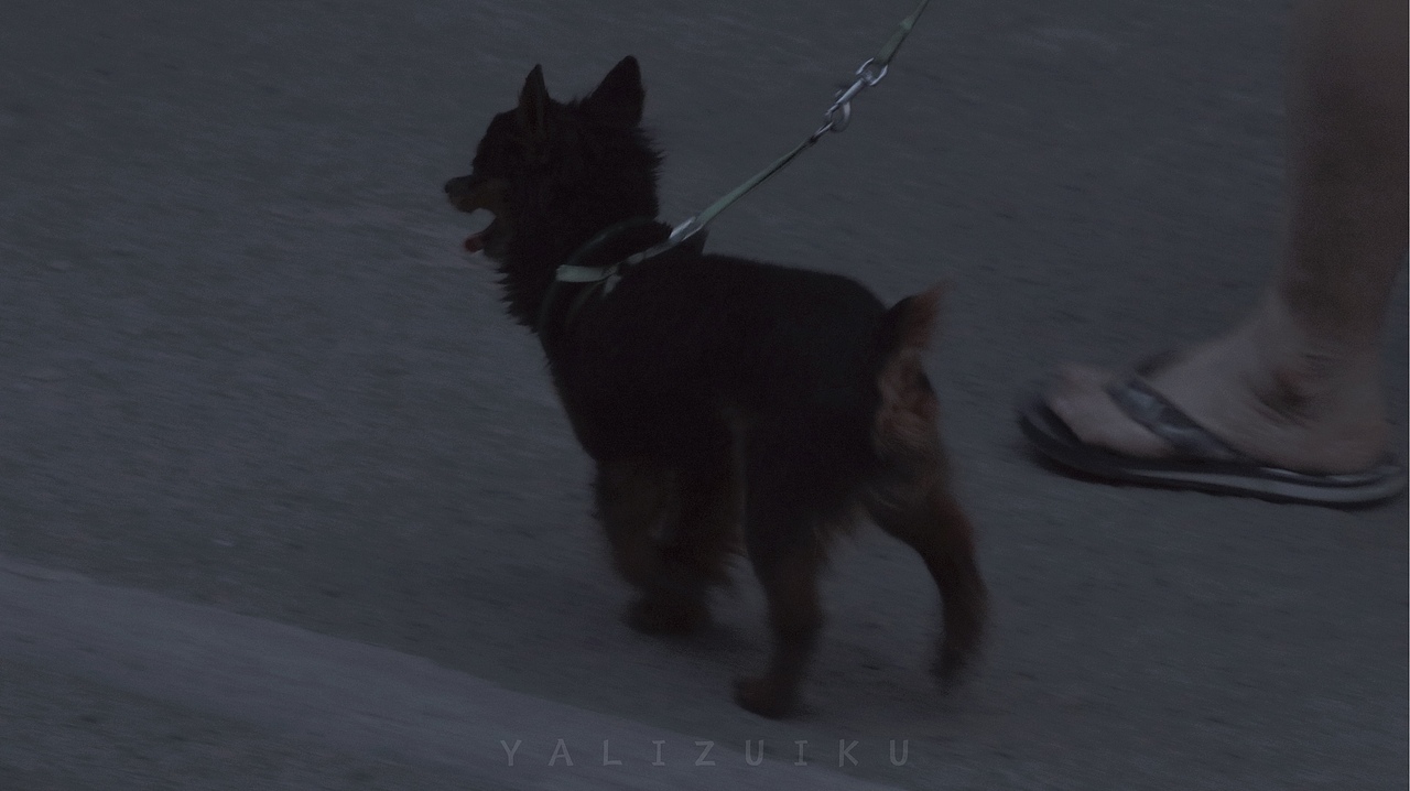 好喜欢人间定格.