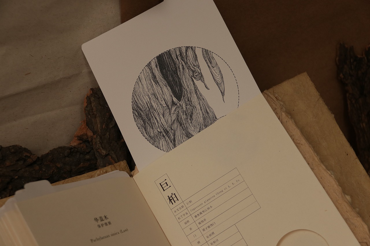 中国濒临树种档案 ｜手工制作书籍（图ZMTIwNzQ1OTMy） - 书籍/画册 - 站酷设计师Cq_H原创素材 - 站酷ZCOOL