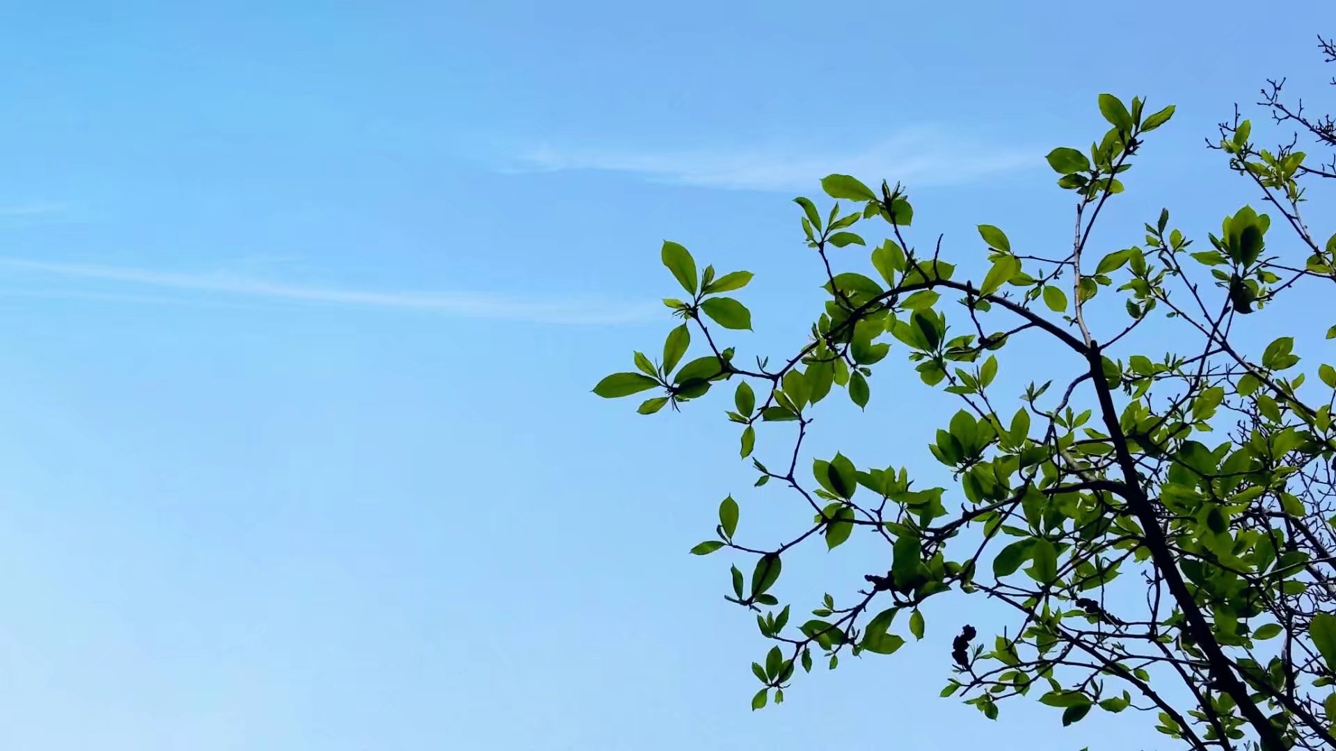 簡弋的個人主頁（背景預(yù)覽） - 主頁背景設(shè)置 - 站酷設(shè)計師簡弋原創(chuàng)素材 - 站酷ZCOOL