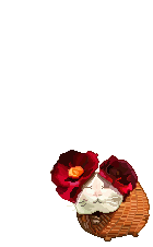 那些年我们用过的像素QQ秀（场景）