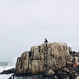 家乐福海盗呀的头像
