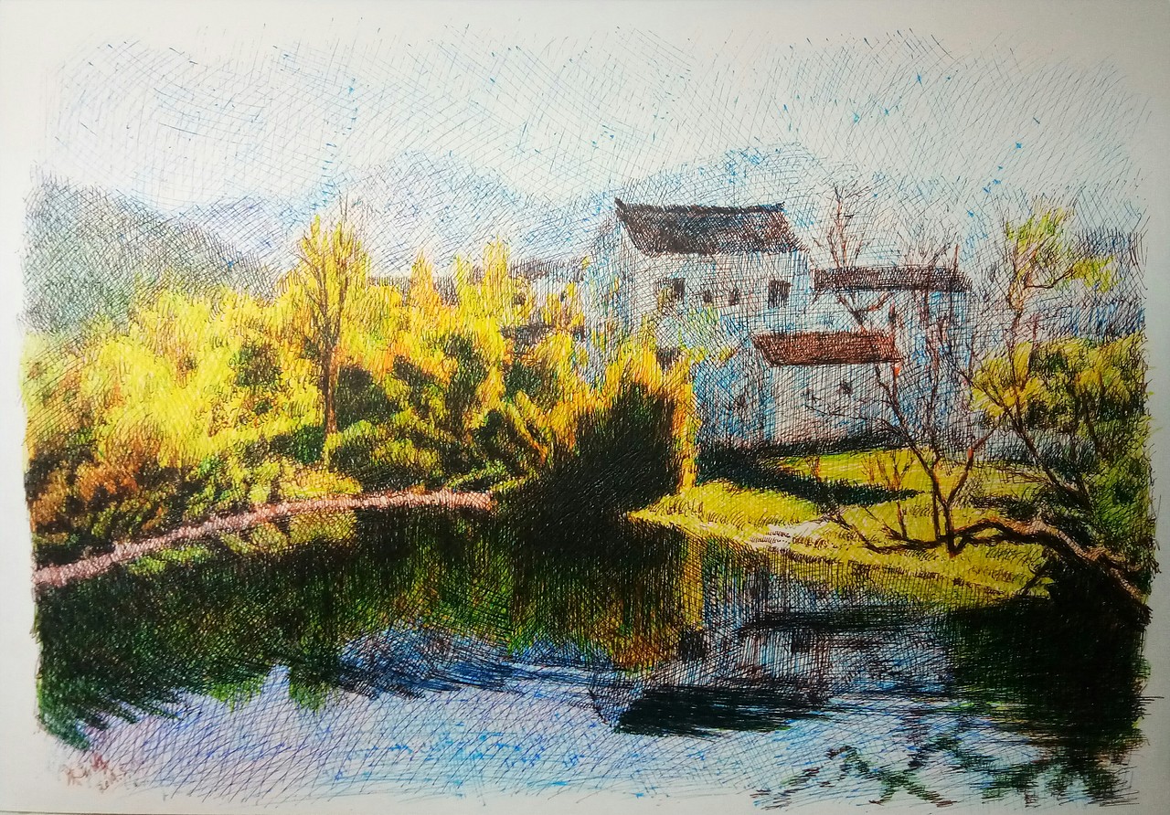 彩色钢笔画和黑白钢笔画习作