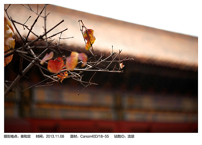 翻出的那些旧照片（图ZMTUxODQxMzY=） - 风光摄影 - 站酷设计师流景原创素材 - 站酷ZCOOL