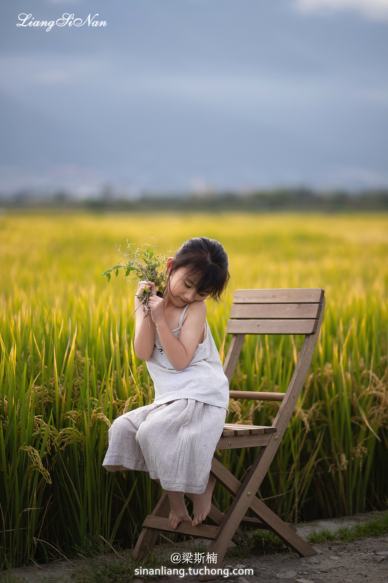 风,已经是秋天的味道了呢!