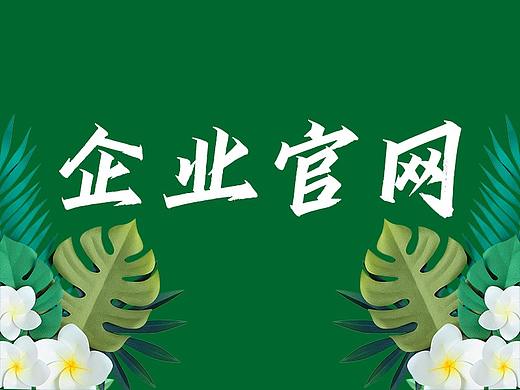 企业官网&产品官网&后台登录